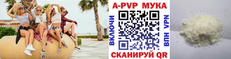 Купить  Шахунья  A PVP СК КРИС 