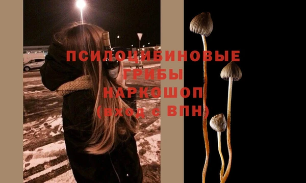 мефедрон мука Новодвинск