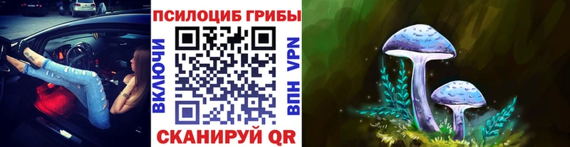 Галлюциногенные грибы мицелий  Купить  Шахунья 